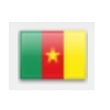 drapeau cameroun