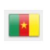 drapeau cameroun