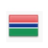 drapeau gambie