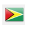 drapeau guyana